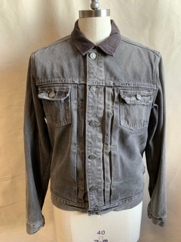 Mens, Jean Jacket, ALL SAINTS, Lt Gray, Cotton, Solid, L, Button Front, Corduroy Collar Attached, 2 Pockets, Front Yoke, Long Sleeves, Button Cuff