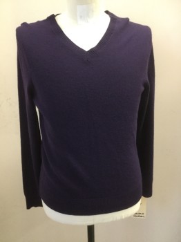 Mens, Pullover Sweater, BANANA REPUBLIC, Purple, Wool, Solid, M, V-neck, Long Sleeves,