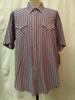 Mens, Western, ELY CATTLEMAN, Charcoal Gray, Red, White, Polyester, Cotton, Stripes, XXL, Red/ Charcoal Gray/ White Stripes, Snap Front, Collar Attached, Short Sleeves,