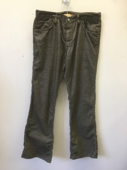 Mens, Casual Pants, J. AGAVE, Gray, Brown, Cotton, 32/32, Corduroy, Brownish-Gray, Zip Fly, Jean Style, Belt Loops