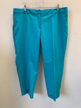 LANE BRYANT, Turquoise Blue, Poly/Cotton, Spandex, Solid, Slant Pockets, Zip Front, Flat Front, Cuffed Hem, 2 Back Welt Pockets *Pen Stain