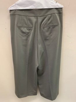 ANN TAYLOR, Taupe, Wool, Polyester, Solid, Wide Leg, 1 Pleat, 2 Button Tabs, Side Zipper,