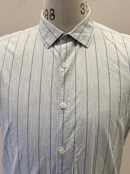 THEORY, Lt Gray, Blue-Gray, Cotton, Stripes, S/S, Button Front, Collar Attached,
