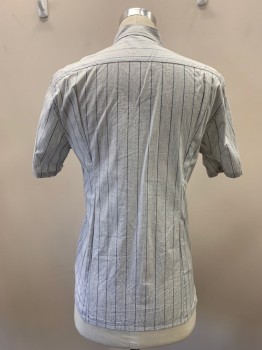 THEORY, Lt Gray, Blue-Gray, Cotton, Stripes, S/S, Button Front, Collar Attached,