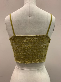 Womens, Top, URBAN OUTFITTERS, Moss Green, Cotton, Nylon, Solid, S, Spaghetti Strap, V-N, Button Front, Lace With Lied Bra Cups, Cropped