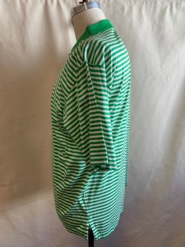 FAIRWAY & GRENE, White, Kelly Green, Cotton, Stripes - Horizontal , Short Sleeves, 3 Buttons,  Solid Rib Knit Collar