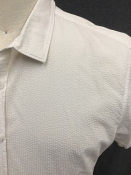 CALVIN KLEIN, White, Polyester, Stripes, Seer Sucker, Self Ghost Stripes, Button Front, Collar Attached, Short Sleeves,