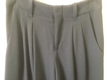 Womens, Slacks, ALICE & OLIVIA, Black, Polyester, Solid, 4, Pleated Front, Two Inch Waist Band with Loops, Very Wide Leg, Slit Pockets