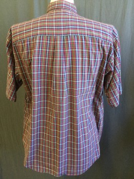 VAN HEUSEN, Dk Red, Navy Blue, Forest Green, White, Polyester, Cotton, Plaid, Collar Attached, Button Down, Button Front, 2 Pockets, Short Sleeves,