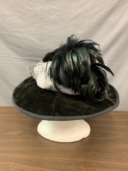 NO LABEL, Black, Cashmere, Velvet, Gray Lt Feather Around Crown, Large Black & Green Feather on Back