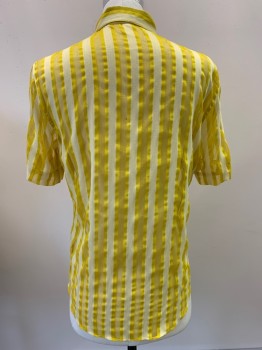 NO LABEL, Yellow, Cream, Polyester, Cotton, Stripes - Vertical , S/S, Button Front, Collar Attached, Transparent Netted Stripes, Made To Order,