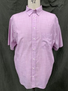 GOLD LABEL, Lavender Purple, White, Cotton, 2 Color Weave, Button Front, Collar Attached, Button Down Collar, 1 Pocket, Short Sleeves
