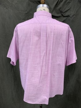 GOLD LABEL, Lavender Purple, White, Cotton, 2 Color Weave, Button Front, Collar Attached, Button Down Collar, 1 Pocket, Short Sleeves