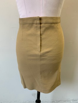 LANVIN, Beige, Linen, Viscose, Solid, Pencil Skirt, Knee Length, 1" Wide Self Waistband, Zipper in Back, High End/Designer