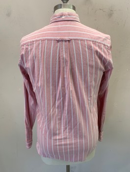 BROOKS BROTHERS, Dusty Red, White, Baby Blue, Cotton, Stripes, L/S, Button Front, Button Down Collar, Chest Pocket, Back Pleat with Locker Loop