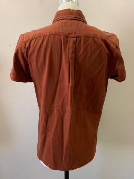 JACHS , Rust Orange, Cotton, Solid, B.F., Short Sleeves, Double  Button Down Collar Attached, Folded Cuffs with 1 Button, 1 Flap Pkt.
