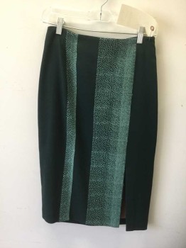 Womens, Skirt, Knee Length, TOCCA, Teal Green, Sea Foam Green, Wool, Stripes, 2, Tealgreen with Seafoam Embroidered Stripe, Front Slit, Side Zip