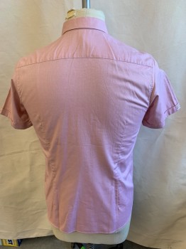 TED BAKER, Raspberry Pink, White, Cotton, 2 Color Weave, Collar Attached, White with Charcoal Black with Dots & Sage Trim Inside Collar , and Upper Back, Button Front, Faded Red/gray/light Pink Vertical Stripes Inside Front Placket, Short Sleeves, 1 Pocket, Curved Hem