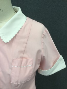 WHITE SWAN, Lt Pink, White, Polyester, Cotton, Solid, Zip Front, 3 Pockets, Short Sleeves, White Collar Attached with Scallopped Detail, White Turned Back Cuff with Scallopped Detail