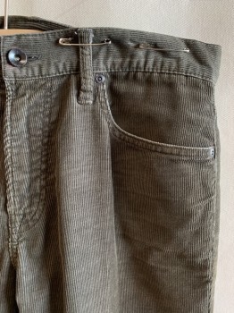 GAP, Taupe, Cotton, Solid, 5 Pockets, Zip Fly, Belt Loops