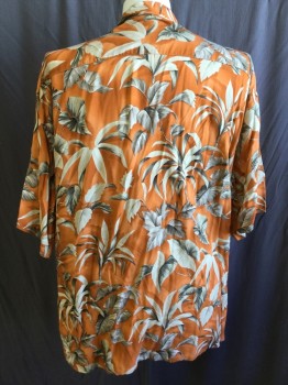 PIERRE CARDIN, Orange, Beige, Khaki Brown, Rayon, Tropical , Palm Tree Print, Button Front, Collar Attached, Short Sleeves,