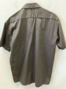 DICKIES, Brown, Polyester, Cotton, Solid, B.F., C.A., S/S, 2 Pckts,