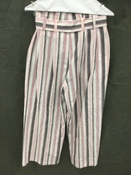 RACHEL ROY, Lt Pink, White, Pink, Mauve Pink, Black, Linen, Cotton, Stripes - Vertical , Paper Bag Pleated High Waist, Belt Loops, 2 Pockets, Self Belt