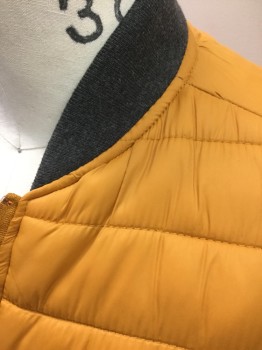 Mens, Casual Jacket, ARIZONA JEANS, Turmeric Yellow, Heather Gray, Nylon, Polyester, Solid, M, (DOUBLE) Turmeric Yellow  Horizontally Quilted Nylon Puffer, Gray Rib Knit Neck, Cuffs and Waist, Zip Front