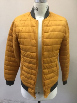 Mens, Casual Jacket, ARIZONA JEANS, Turmeric Yellow, Heather Gray, Nylon, Polyester, Solid, S, (DOUBLE) Mustard Horizontally Quilted Nylon Puffer, Gray Rib Knit Neck, Cuffs and Waist, Zip Front,