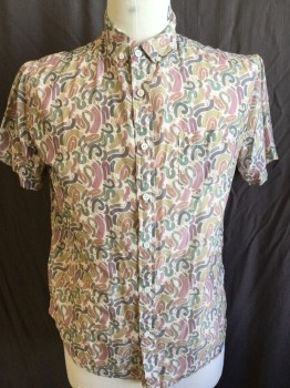 OXFORD LADS, White, Slate Blue, Mauve Pink, Purple, Teal Blue, Cotton, Swirl , Novelty Pattern, Button Down Collar, Button Front, Short Sleeves, Swirl Pencil Pattern