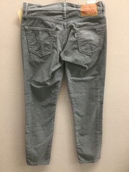 Mens, Casual Pants, LEVI'S, Dove Gray, Cotton, Solid, 30/32, Corduroy, Jean Style,