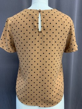 BP, Brown, Black, Polyester, Polka Dots, Round Neck, Short Sleeves, Button Closure In Back