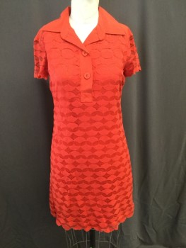 MAX STUDIO, Red, Cotton, Synthetic, Solid, Womens Day Dress, Geometric Lace Overlay, Short Sleeves, Solid Collar & Solid 3 Button Placet As Well As Solid Yoke Length to Knee