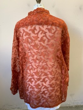 Womens, Blouse, ASHLEY STEWART, Burnt Orange, Silk, Swirl , Paisley/Swirls, Sz.24, Sheer Organza with Opaque Vine/Swirl Like Appliques with Paisley Ends, Long Sleeves, Button Front, Collar Attached