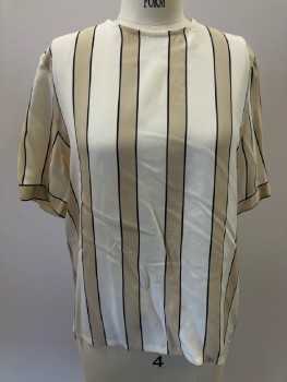 CARLISIE, Beige, Cream, Silk, Stripes - Vertical , CN, S/S, Back Btns