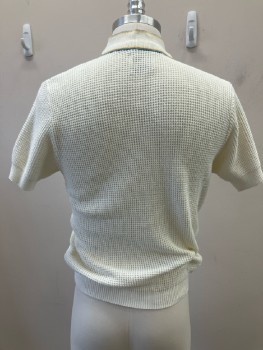 DUKE OF HOLLYWOOD, White, Cotton, Solid, Pull On, S/S, CN, with Lt Blue/Mustard Stripe, Rib Knit Trims