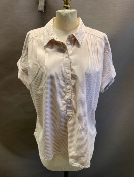 Womens, Top, J CREW, White, Oatmeal Brown, Cotton, Stripes, M, S/S, Half Button Front, Cuffed Sleeves, Curved Hem