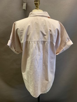 J CREW, White, Oatmeal Brown, Cotton, Stripes, S/S, Half Button Front, Cuffed Sleeves, Curved Hem
