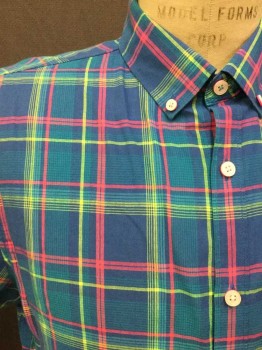 PENGUIN, Turquoise Blue, Pink, Yellow, Cotton, Plaid, Button Down Collar, Short Sleeve,  Button Front,
