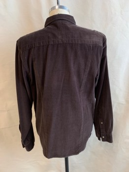 Mens, Casual Shirt, THE NORTH FACE, Dk Brown, Cotton, Solid, L, Collar Attached, Snap Front, Long Sleeves, 2 Pockets, Snap Cuffs