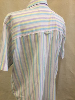 LINDSEY BLAKE, White, Lavender Purple, Pink, Yellow, Lt Blue, Polyester, Cotton, Stripes, Button Front, Collar Attached, Short Sleeves, 2 Pockets, Pastel Colored Stripes