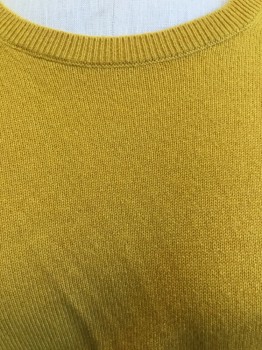 EVERLANE, Mustard Yellow, Cashmere, Solid, Crew Neck, Long Sleeves,