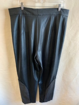 Mens, Sci-Fi/Fantasy Pants, MTO, Black, Synthetic, Poly Vinyl Cloride, Solid, Basket Weave, 38/29, Zip Front, Side Panel with Piping On Bottom Outside Of Legs,