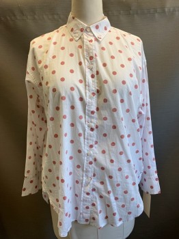 Womens, Blouse, JCREW, White, Terracotta Brown, Cotton, Polka Dots, 12, Long Sleeves, Button Front, Button Down Collar Attached,