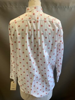 Womens, Blouse, JCREW, White, Terracotta Brown, Cotton, Polka Dots, 12, Long Sleeves, Button Front, Button Down Collar Attached,