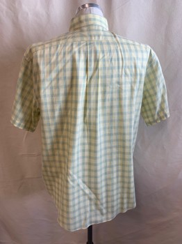 GOLD LABEL, Yellow, French Blue, White, Cotton, Plaid, Button Down Collar, Button Front, Short Sleeves, 1 Pocket
