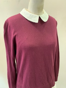 Womens, Pullover Sweater, TED BAKER, Red Burgundy, White, Cotton, Polyamide, Solid, M, Knit Sweater with Attached White Cotton Undershirt with Self Polka Dot Pattern, Long Sleeves, Collar is Rounded