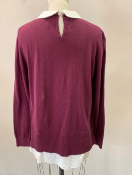 Womens, Pullover, TED BAKER, Red Burgundy, White, Cotton, Polyamide, Solid, M, Knit Sweater with Attached White Cotton Undershirt with Self Polka Dot Pattern, Long Sleeves, Collar is Rounded
