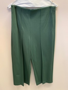 ANN TAYLOR, Dk Green, Viscose, Nylon, Solid, Side Zipper, Invisible Zipper, Heavy Weight, Stitched Creases, 2 Pockets