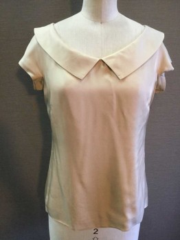 REBBECA TAYLOR, Tan Brown, Beige, Polyester, Solid, Tan W/tan Lining, Wide Round Neck,  with Collar Attached, Cap Sleeves, Zip Back